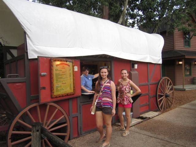 disney world wagon